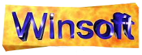 Logo Winsoft